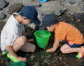 animations les pieds dans l'eau